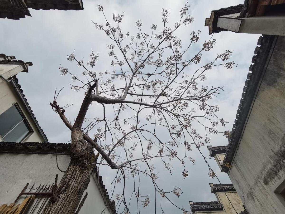 Xidi Kunlun International Hostel Yi (Anhui) Exterior foto